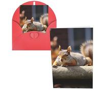 KKLWEGU Blank Greetings Card 4'' X 6'' With Envelopes, Squirrel Just Laying Thank You Cards Note Cards Red All Occasion Cards For Christmas Holidays Birthday Graduation Anniversaries