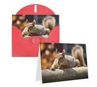 KKLWEGU Blank Greetings Card 4'' X 6'' With Envelopes, Squirrel Just Laying Thank You Cards Note Cards Red All Occasion Cards For Christmas Holidays Birthday Graduation Anniversaries