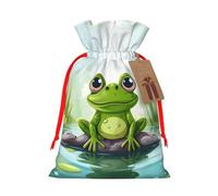 KKLWEGU Frog On A Pond Christmas Drawstring Gift Bags Reusable Christmas Wrapping Bag W/Tags 4.7x6.9 Inch Xmas Treat Pouch Goody Bags Candy Treat Bag For Xmas Holiday Presents Party Favor