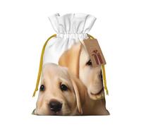 KKLWEGU Funny Labrador Puppy Dog Christmas Drawstring Gift Bags Reusable Christmas Wrapping Bag W/Tags 4.7x6.9 Inch Xmas Treat Pouch Goody Bags Candy Treat Bag For Xmas Holiday Presents Party Favor
