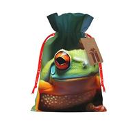 KKLWEGU Lovely Tree Frogs Christmas Drawstring Gift Bags Reusable Christmas Wrapping Bag W/Tags 4.7x6.9 Inch Xmas Treat Pouch Goody Bags Candy Treat Bag For Xmas Holiday Presents Party Favor