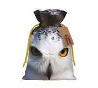 KKLWEGU Snowy Owl Eyes Christmas Drawstring Gift Bags Reusable Christmas Wrapping Bag W/Tags 8.3x11.8 Inch Xmas Treat Pouch Goody Bags Candy Treat Bag For Xmas Holiday Presents Party Favor