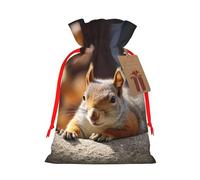 KKLWEGU Squirrel Just Laying Christmas Drawstring Gift Bags Reusable Christmas Wrapping Bag W/Tags 4.7x6.9 Inch Xmas Treat Pouch Goody Bags Candy Treat Bag For Xmas Holiday Presents Party Favor
