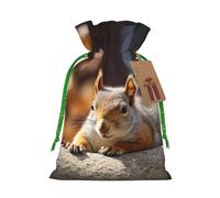 KKLWEGU Squirrel Just Laying Christmas Drawstring Gift Bags Reusable Christmas Wrapping Bag W/Tags 4.7x6.9 Inch Xmas Treat Pouch Goody Bags Candy Treat Bag For Xmas Holiday Presents Party Favor