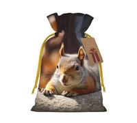 KKLWEGU Squirrel Just Laying Christmas Drawstring Gift Bags Reusable Christmas Wrapping Bag W/Tags 8.3x11.8 Inch Xmas Treat Pouch Goody Bags Candy Treat Bag For Xmas Holiday Presents Party Favor