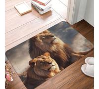 KKLWEGU Two Lions Flannel Doormat 16 X 24 Inch Non-Slip Soft Welcome Door Mat Washable Absorbent Bath Rug Floor Mat Indoor/Outdoor Rug for Stylish Kitchen Bedroom Bathroom Decor