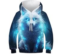 KKOLASXZE 3D Printed Arctic Fox Casual Hoodie Sweatshirt Pullover Men/Women Ong Sleeve Tops for Teens 13-15Y