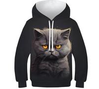 KKOLASXZE 3D Printed British Shorthair Cat Hoodies Hooded Sweatshirt Pullover Men/Women Ong Sleeve Tops for Teens 12-14Y