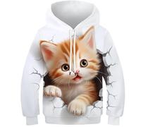 KKOLASXZE 3D Printed Cat Hoodies Sportswear Pullover Men/Women Ong Sleeve Tops for Teens 13-15Y