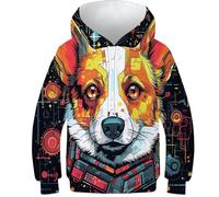 KKOLASXZE 3D Printed Corgi Hoodies Long Sleeve Sweatshirts Pullover Men/Women Ong Sleeve Tops for Teens 12-14Y