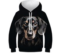 KKOLASXZE 3D Printed Dachshund Hoodies Long Sleeve Sweatshirts Pullover Men/Women Ong Sleeve Tops for Teens 10-12Y