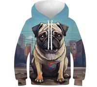 KKOLASXZE 3D Printed Pug Hoodies Sweatshirt Pullover Men/Women Ong Sleeve Tops for Teens 11-13Y