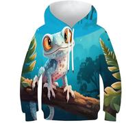 KKPBHTYVG 3D Printed Gecko Athleisure Hoodie Long Sleeve Sweatshirts Pullover Men/Women Ong Sleeve Tops for Teens 12-14Y