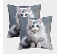 KKPBHTYVG Ragdoll Cat Cushion Cover Set of 2 Decorative Machine Washable Pillowcases Square Cushions with Invisible Zipper Cushion Covers for Outdoor Home Bed Decor Throw Pillow Case 40x40cm