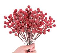 KKSTY 16 Pieces Artificial Red Berry Stems 7.8 Inch Snowy Berries Picks Christmas Tree Sprays for Xmas Decorations DIY Crafts Wreath Making Supplies Winter Season Home Party Décor (Frosted Red)