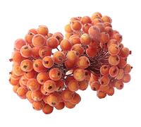 KKSTY 200 Pcs/100 Wired Berries Stems Artificial Frosted Berries Christmas Holly Berries Mini Fruits for Xmas Tree Decoration Wreath Garland Making Supplies… (Orange)