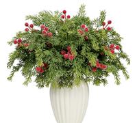 KKSTY 40 Pcs Artificial Pine Branches with Berry Stems - 33cm Christmas Fliage Faux Greenery Fake Cedar Picks Green Needles Sprigs for Vase Filler DIY Crafts Garland Wreath Xmas Home Decor (Red)