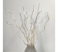 KKTHDM Dried natural curly willow branch 15 Stems decorative white sticks 22”, small real gourds 3 pieces for home decor (white)