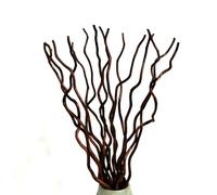 KKTHDM Dried natural curly willow branch 15 Stems decorative white sticks 22”, small real gourds 3 pieces for home decor (reddish)