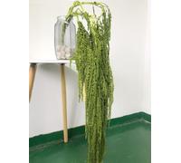 KKTHDMS 5 Pieces Amaranthus Flower Dried Preserved Bleached Wisteria Hanging Vine Flowers for Wedding Bouquet Home Wall Decor (Lime Green)