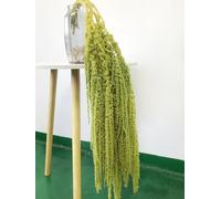 KKTHDMS 5 Pieces Amaranthus Flower Dried Preserved Bleached Wisteria Hanging Vine Flowers for Wedding Bouquet Home Wall Decor (Deep Green)