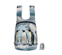 kkvhhyuo 16L Foldable Backpack, Penguins on the Iceberg Printed Lightweight Travel Packable Daypack with Zipper Closure Travel Bag for Hiking Shopping Gym Commute