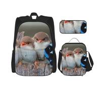 kkvhhyuo 3 Pieces School Bag Set with Backpack Lunch Bag Pencil Case | Four Birds Printed Rucksack Bag Back To School Backpack For Boys Girls Travel Daily Use