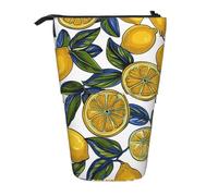 kkvhhyuo Lemon Fruit Pattern Print Pencil Case Big Capacity Aesthetic Pencil Pouch Box with Zipper Portable Pencil Bag Cute for School Students Office Stationery