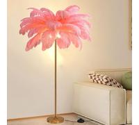 KKXXYQFC d Dimmable 160cm Floor Lamp with Natural Ostrich Feather LED Reading Light Bedside Standing Lamp with Foot for Home & Office