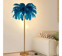 KKXXYQFC d Floor LED Reading Lamp - 160cm Dimmable Bedside Standing Lamp with Natural Ostrich Feather e & Foot - Floor Lamp for Home & Office Decor