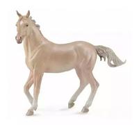 Klacz Akhal-Teke perlino - Collecta