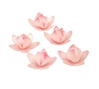 Klaisy 5pcs Jewelry Components Water Lilys Flower/Leaf Ornament Handmade Resin Craft Materials for Jewelry Making and Supplies