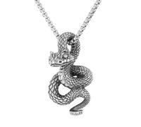 Klapgo 316 Stainless Steel Snake Pendant Necklacefor Men Women with Rope Chain Vintage Punk Gothic Mythology Style with Steel Serpent Texture Viper Snake Pendant Jewelry