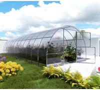 Klasika Greenhouses Durable Greenhouse Klasika Easy 3 X 8 M (24 M²), 4 mm Polycarbonate Cover