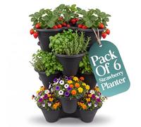 Klass Home Collection Stackable Strawberry Planter Tower Pack of 6, Vertical Garden Planters outdoor & Indoor for Balcony, Patio, Plant Pots for Flowers, Vegetables Herb Garden Planter (Black)