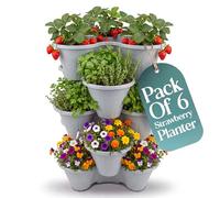 Klass Home Collection Stackable Strawberry Planter Tower Pack of 6, Vertical Garden Planters outdoor & Indoor for Balcony, Patio, Plant Pots for Flowers, Vegetables Herb Garden Planter (Grey)