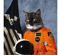 Klaxons - Surfing the Void