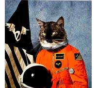 Klaxons - Surfing the Void