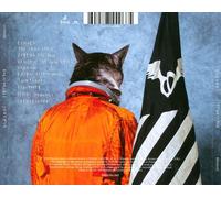 Klaxons - Surfing the Void