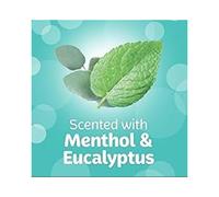 Kleenex Easy Breathe Facial Tissues Natural Menthol and Eucalyptus