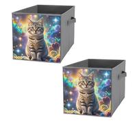 KLJHNVBM 2PCS Foldable Storage Cubes 10.6 Inch, Oxford Fabric Collapsible Storage Bins with Handles, Square Cat Sitting Inside Nebula Organizer Boxes for Closet Shelves, Toys, Clothes