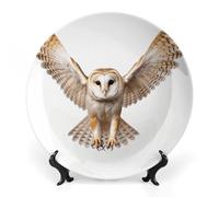 KLJHNVBM A Barn Owl Bone China Decorative Plate 10inch Ceramic Decorative Plate with Display Stand Art Porcelain Plates Wall Hanging Bone China Dish for Home Office Wall Decor