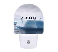 KLJHNVBM Auto On/Off Night Light, Penguins on The Iceberg Nightlight Smart Sensor LED Plug in Night Lamp for Bedroom, Hallway, Bathroom, Kitchen | Energy Saving (0.5W)