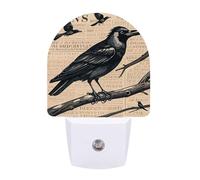 KLJHNVBM Auto On/Off Night Light, The Mysterious Crow Nightlight Smart Sensor LED Plug in Night Lamp for Bedroom, Hallway, Bathroom, Kitchen | Energy Saving (0.5W)