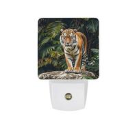 KLJHNVBM Auto On/Off Night Light, Tiger on A Boulder in The Jungle Nightlight Smart Sensor LED Plug in Night Lamp for Bedroom, Hallway, Bathroom, Kitchen | Energy Saving (0.5W)