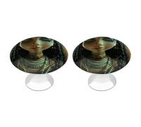 KLJHNVBM Blur Lighting Style Kitchen Cabinet Handles 2 Pack Modern Stainless Steel Drawer Pulls 1.1" Solid Round Dresser Drawer Knobs for Dressers Kitchens with Screwm