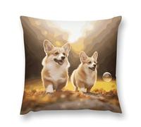 KLJHNVBM Cute Corgi Dog Throw Pillow Covers 16 "x16 - Soft Short Plush Decorative Throw Pillow Cases Double-Sided Pillowcase Square Cushion Covers for Couch Sofa Bedroom Car