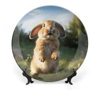 KLJHNVBM Cute Funny Rabbit Bone China Decorative Plate 6inch Ceramic Decorative Plate with Display Stand Art Porcelain Plates Wall Hanging Bone China Dish for Home Office Wall Decor