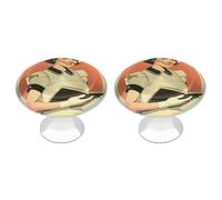 KLJHNVBM Maid Holding A Book Kitchen Cabinet Handles 2 Pack Modern Stainless Steel Drawer Pulls 1.1" Solid Round Dresser Drawer Knobs for Dressers Kitchens with Screwm