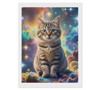 KLJHNVBM Square Diamond Painting Kit for Adults - 5D DIY Full Drill Wall Art Canvas Cat Sitting Inside Nebula Diamond Art for Beginner, Gift & Home Decor, No Frame 12"x16"